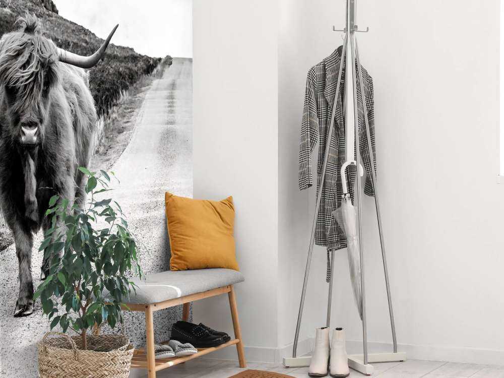 Highlander scozzese su una strada