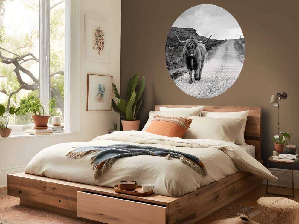 Highlander scozzese su una strada