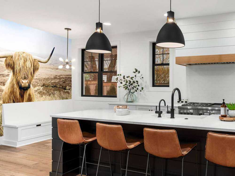 Highlander scozzese con canna