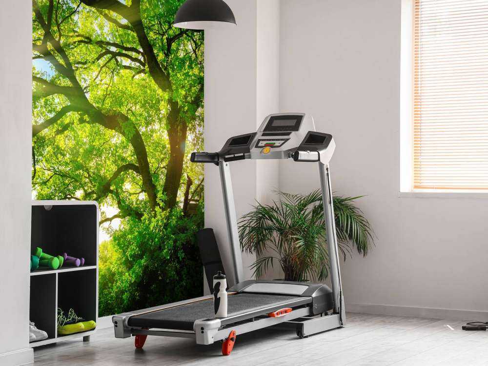 Albero con raggi di sole