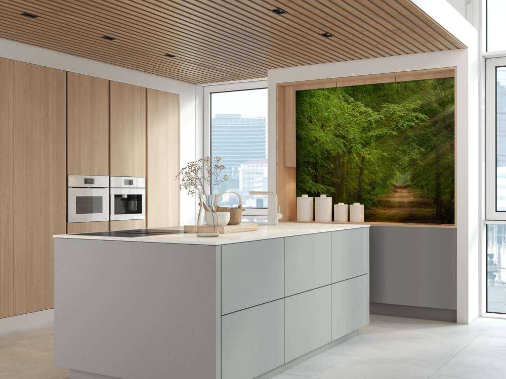 Rospo nella foresta con raggi di sole 