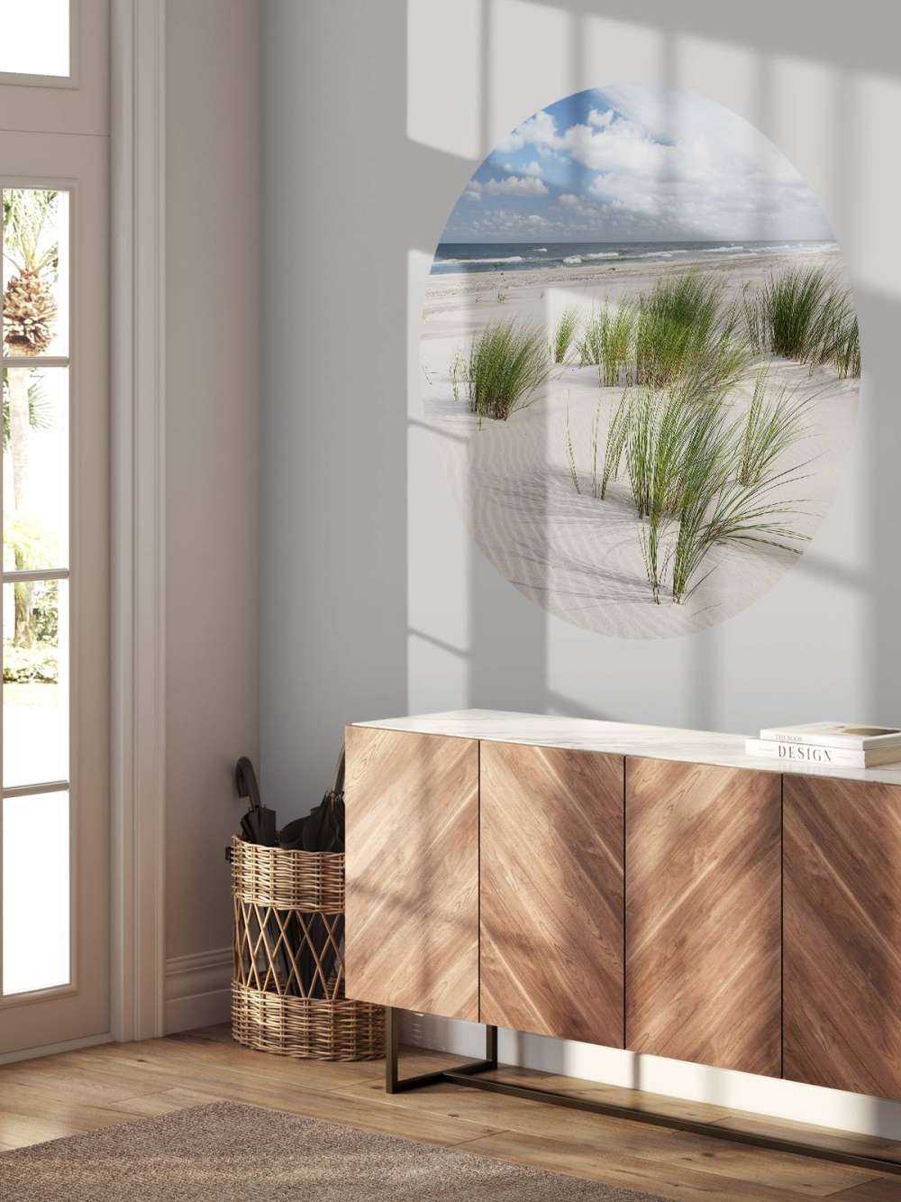 Spiaggia con piante di duna