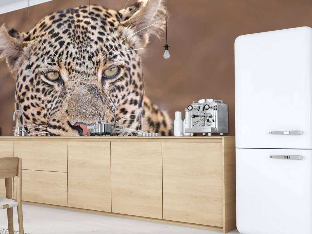 Ritratto di leopardo