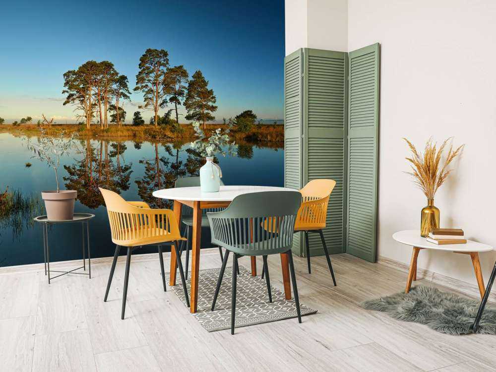 Riflessione nel lago della foresta