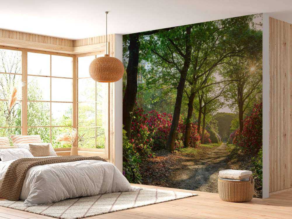 L'alba al sentiero con i rododendri