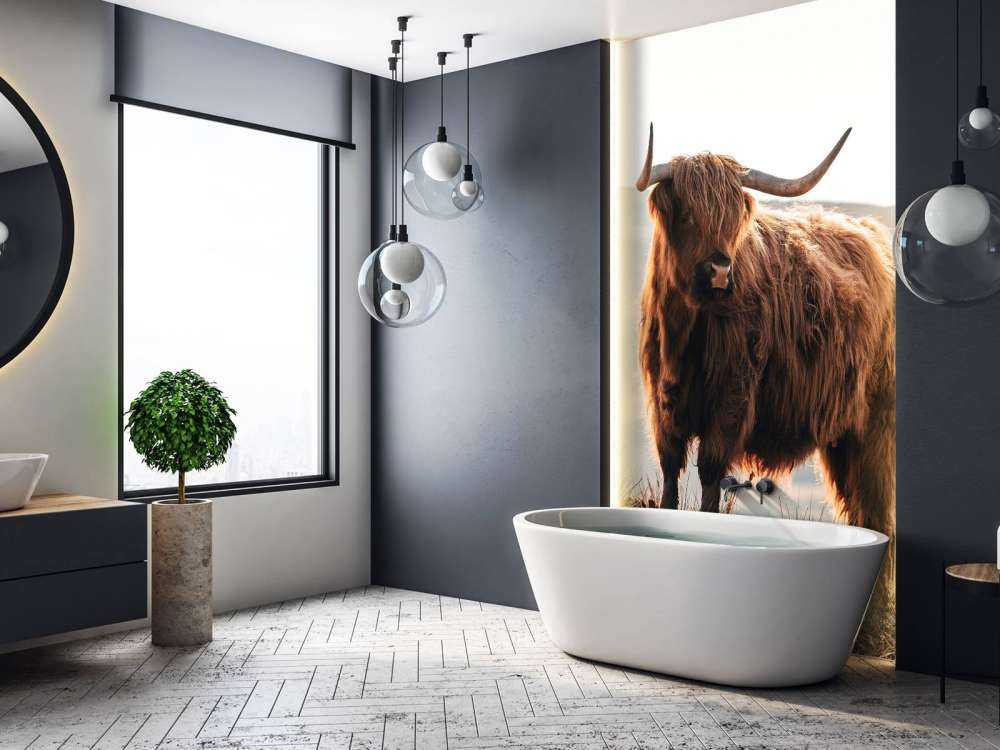 Highlander scozzese su una collina