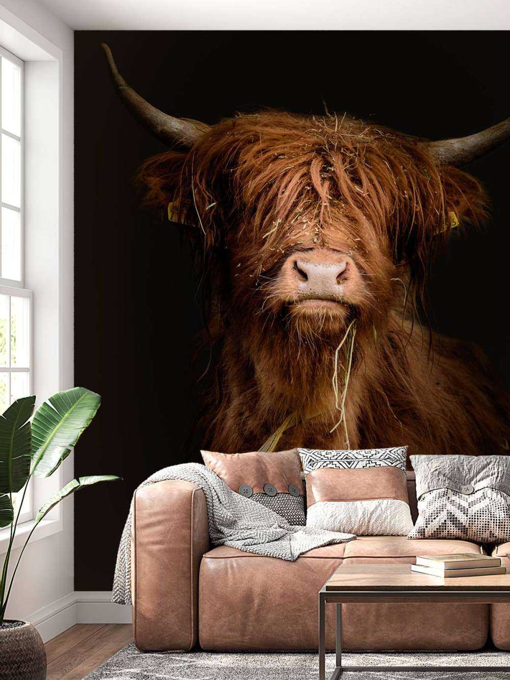 Ritratto scozzese Highlander