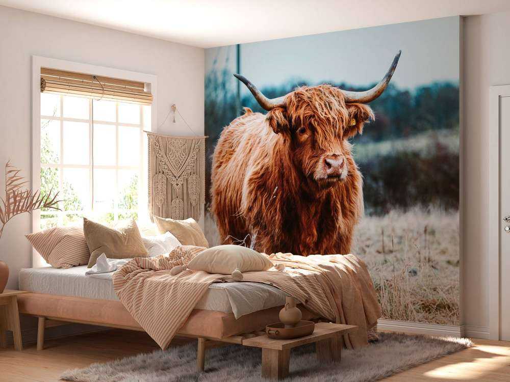 Highlander scozzese nella foresta