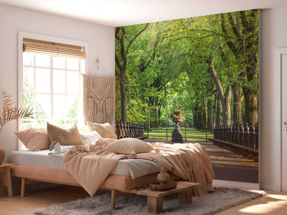 Sentiero a Central Park