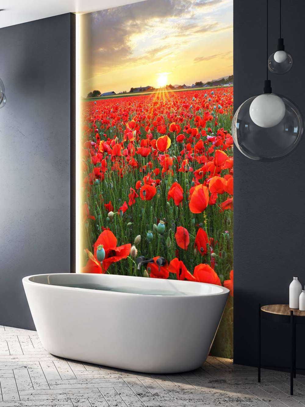 Papaveri al tramonto