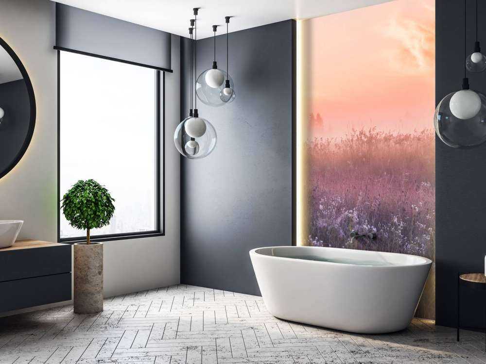 Campo con nebbia mattutina