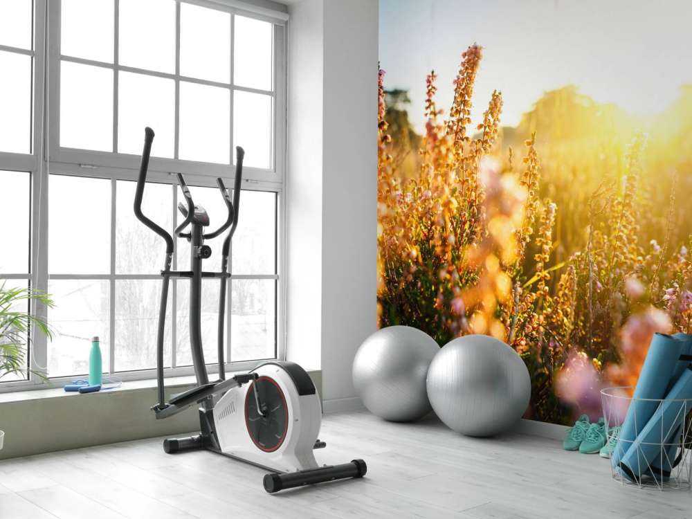 Impianto di erica da vicino