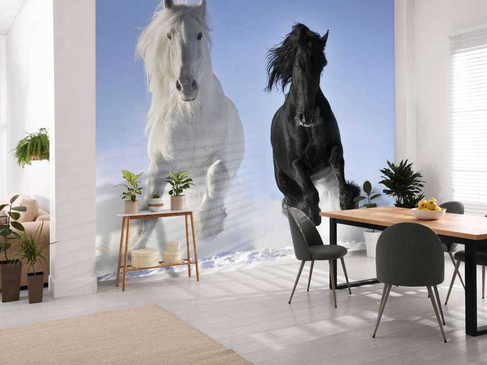 Bianco e cavallo nero