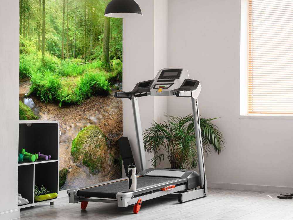 Incantevole paesaggio forestale