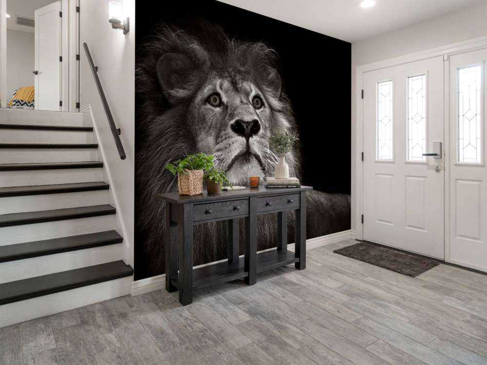 Leone su sfondo nero