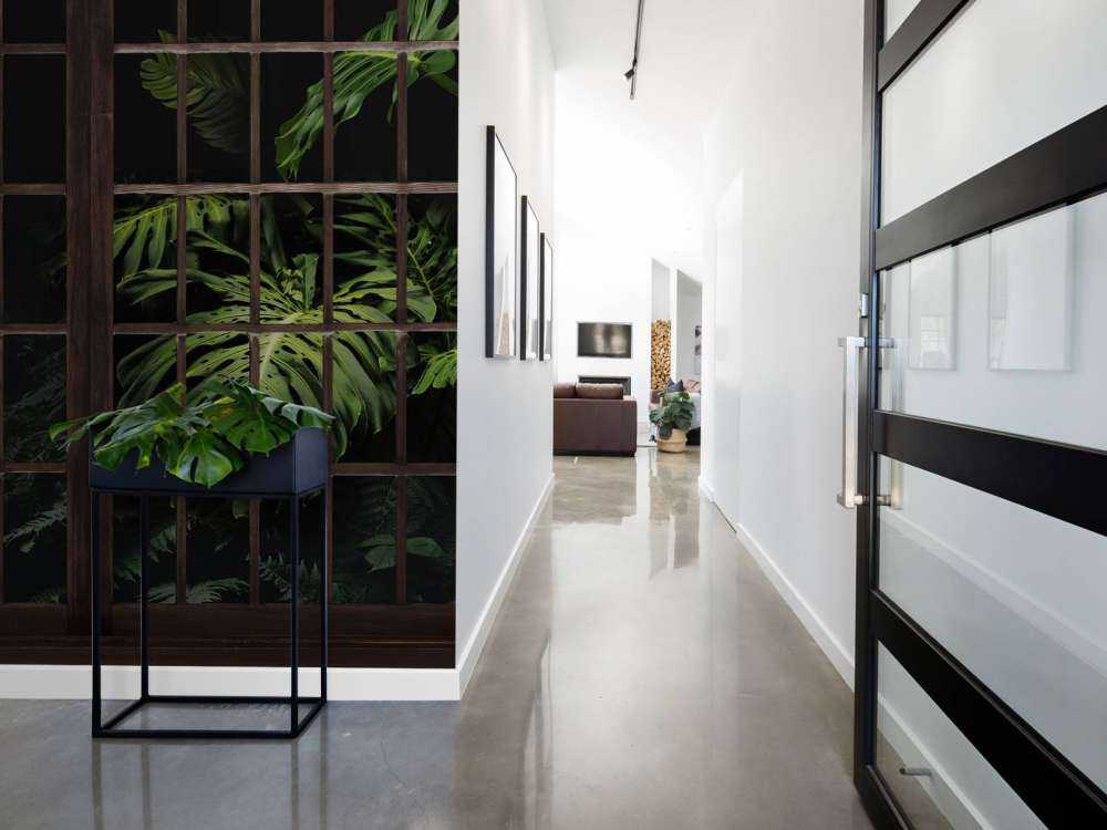 Piante botaniche dietro le finestre