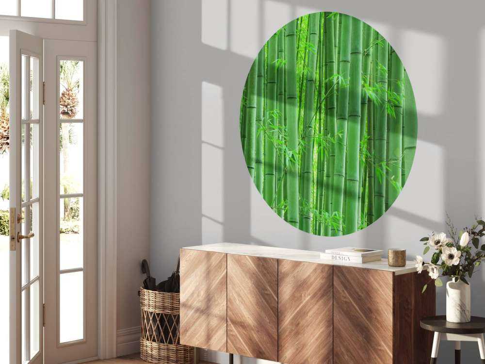 Closeup foresta di bambù