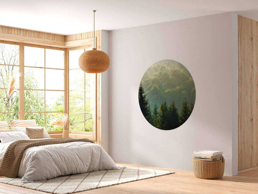 Raggi di sole sulla foresta