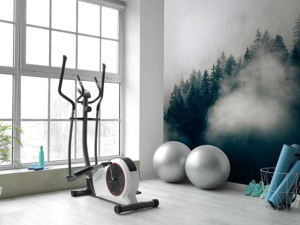 Mattina nebbiosa sulle Alpi