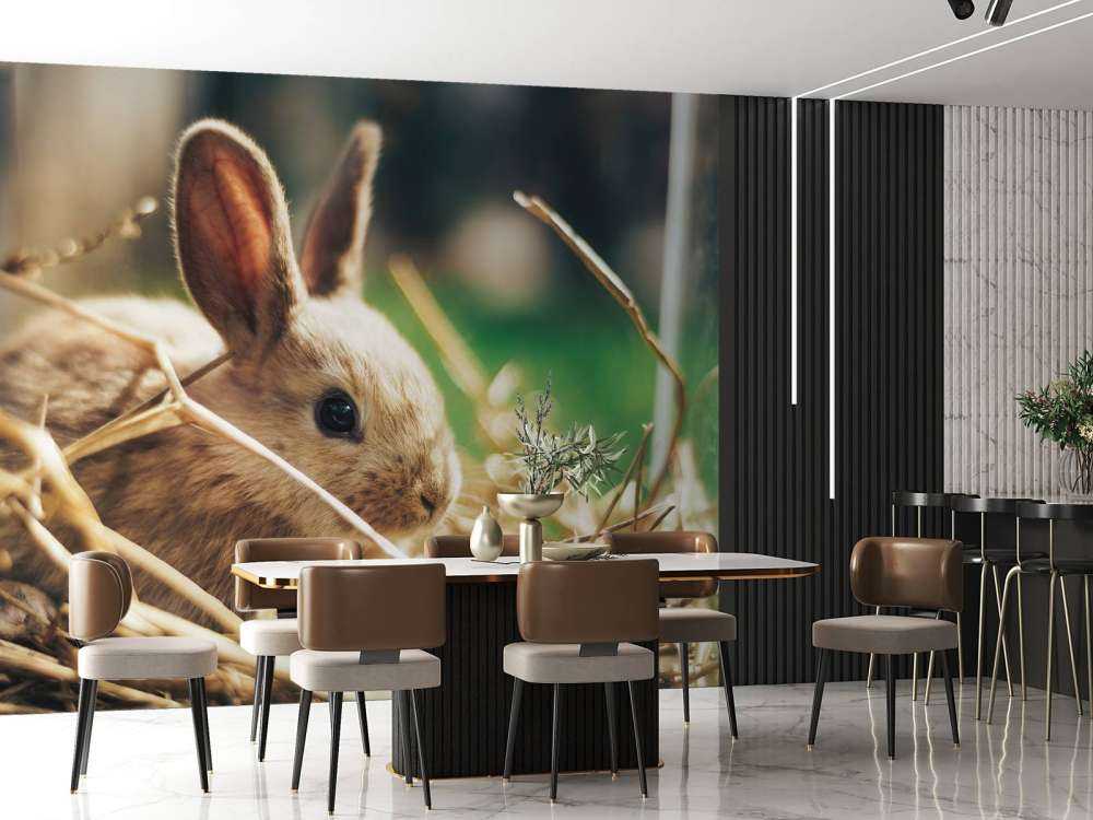 Coniglio nella paglia