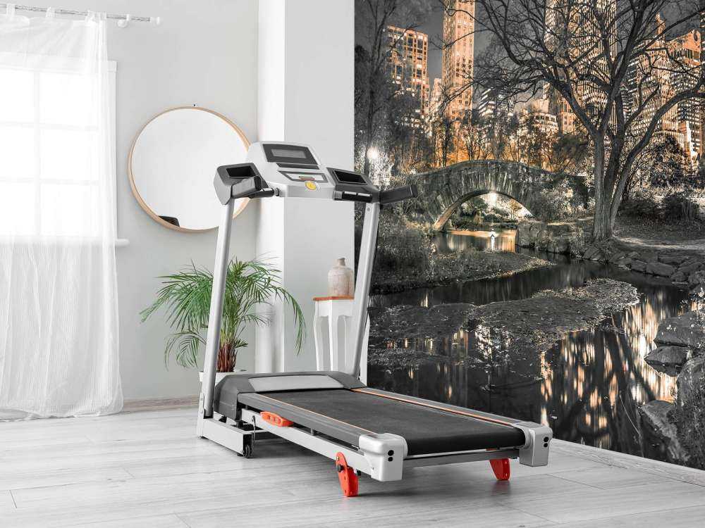 Parco centrale di sera