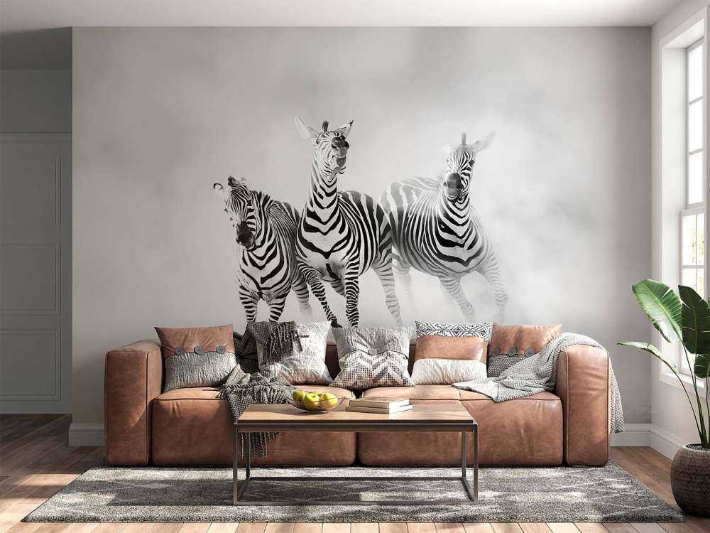 Zebras