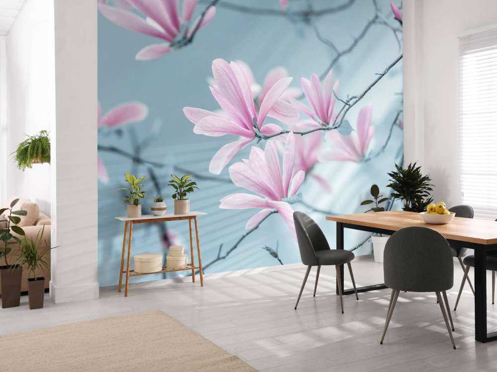 Fiori di magnolia