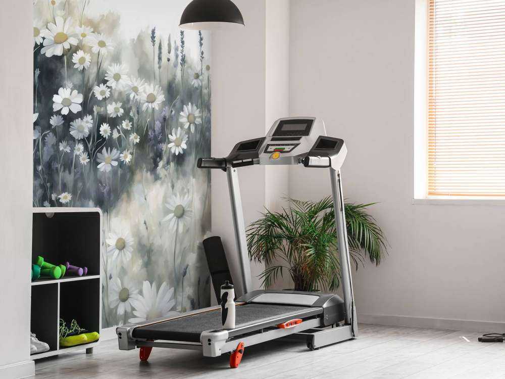 Campo di Margherite Silenziose Verde