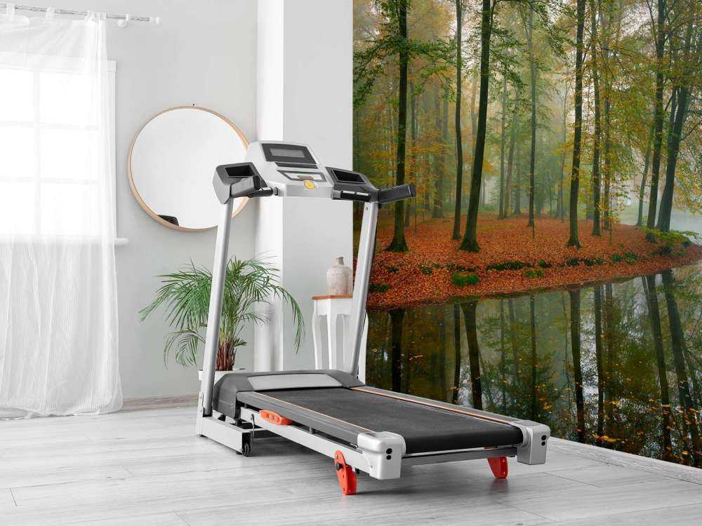 Riflessione degli alberi nello stagno