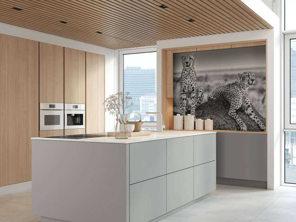 Two Cheetahs watching out