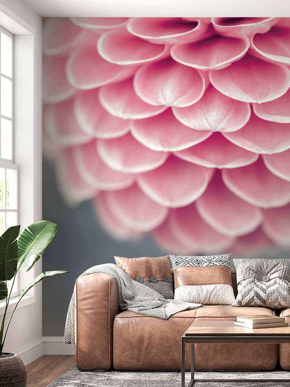 Primo piano di una dalia