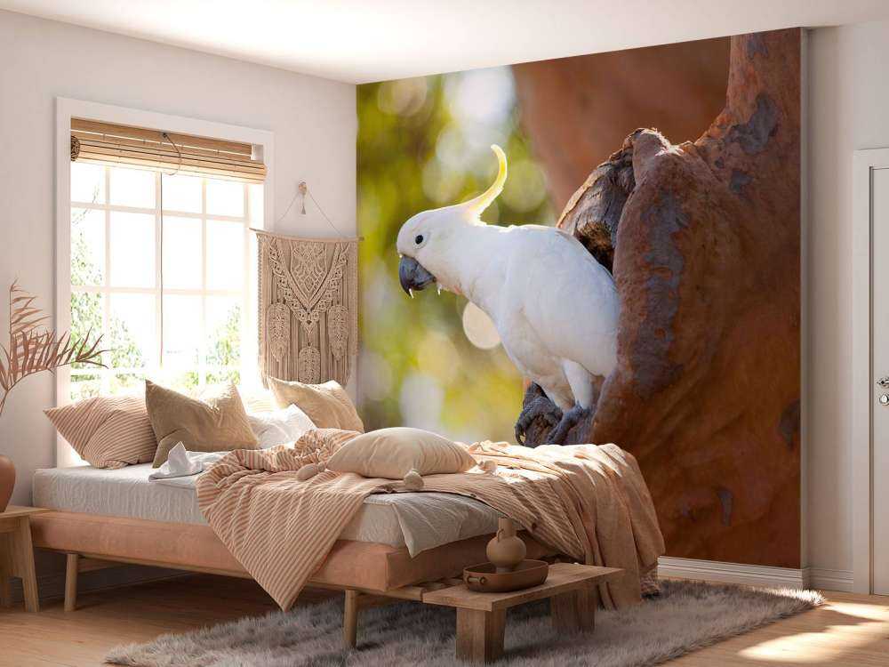 Cacatua in cavità dell'albero