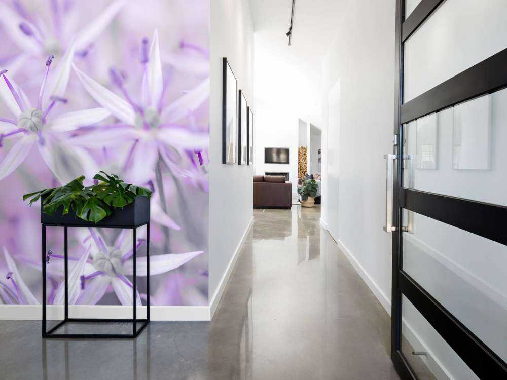 Primo piano di fiori di allium