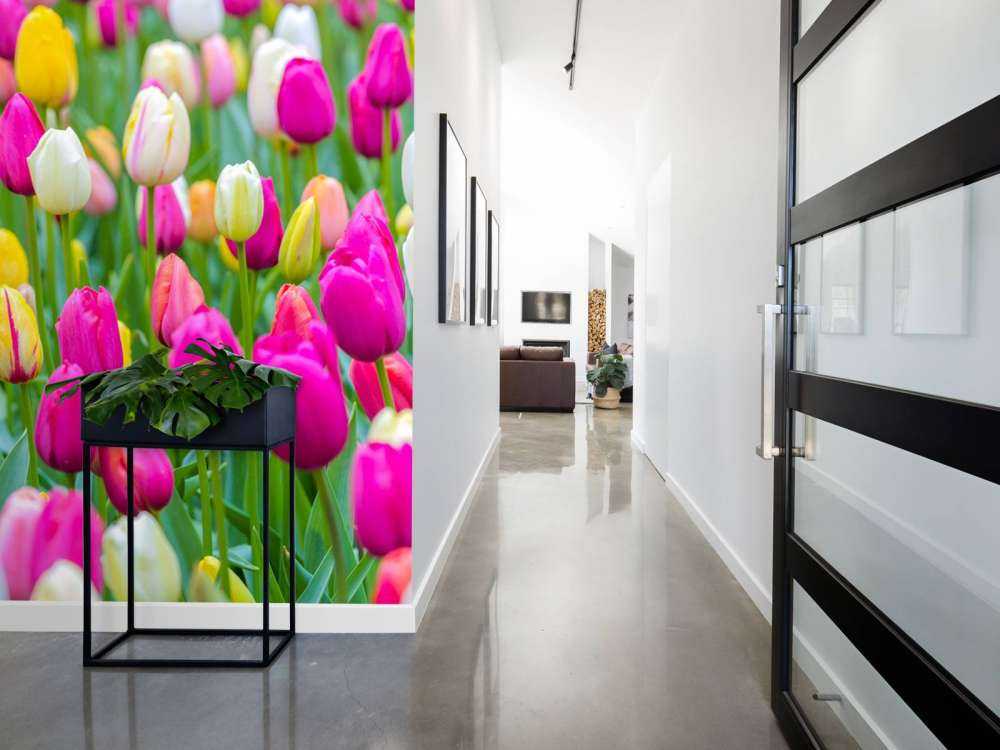 Tulipani colorati in un campo