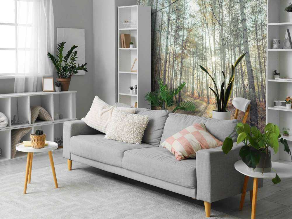 Sentiero attraverso il bosco soleggiato