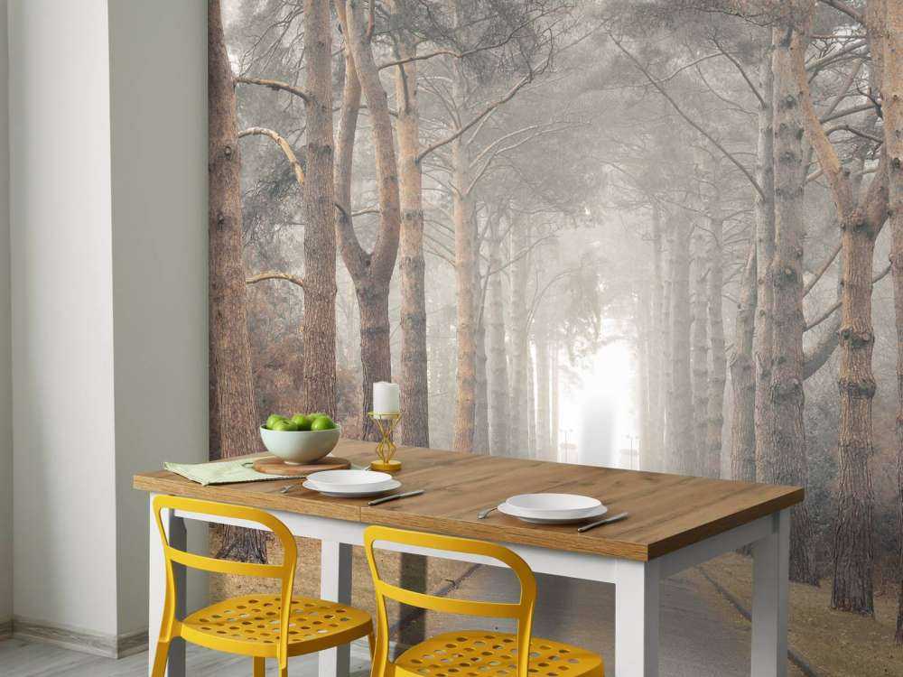 Foresta nella nebbia