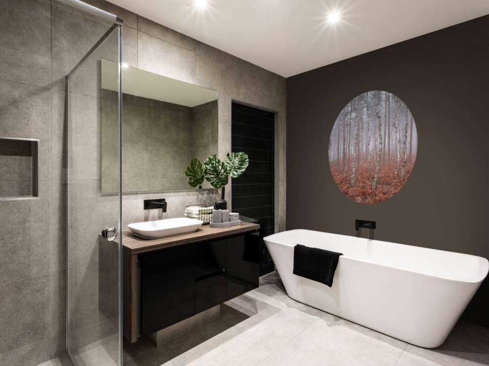 Foresta nebbiosa e deserta