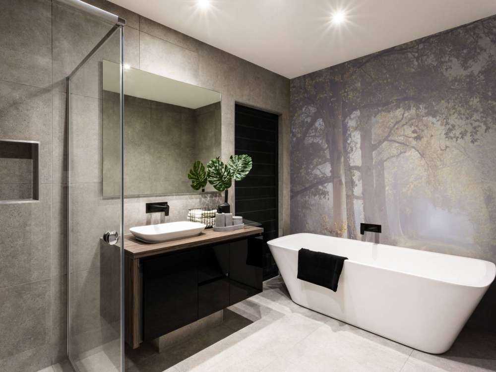 Strada nebbiosa con alberi