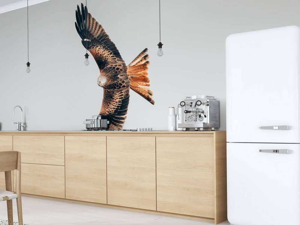 Nibbio rosso ad ali spiegate