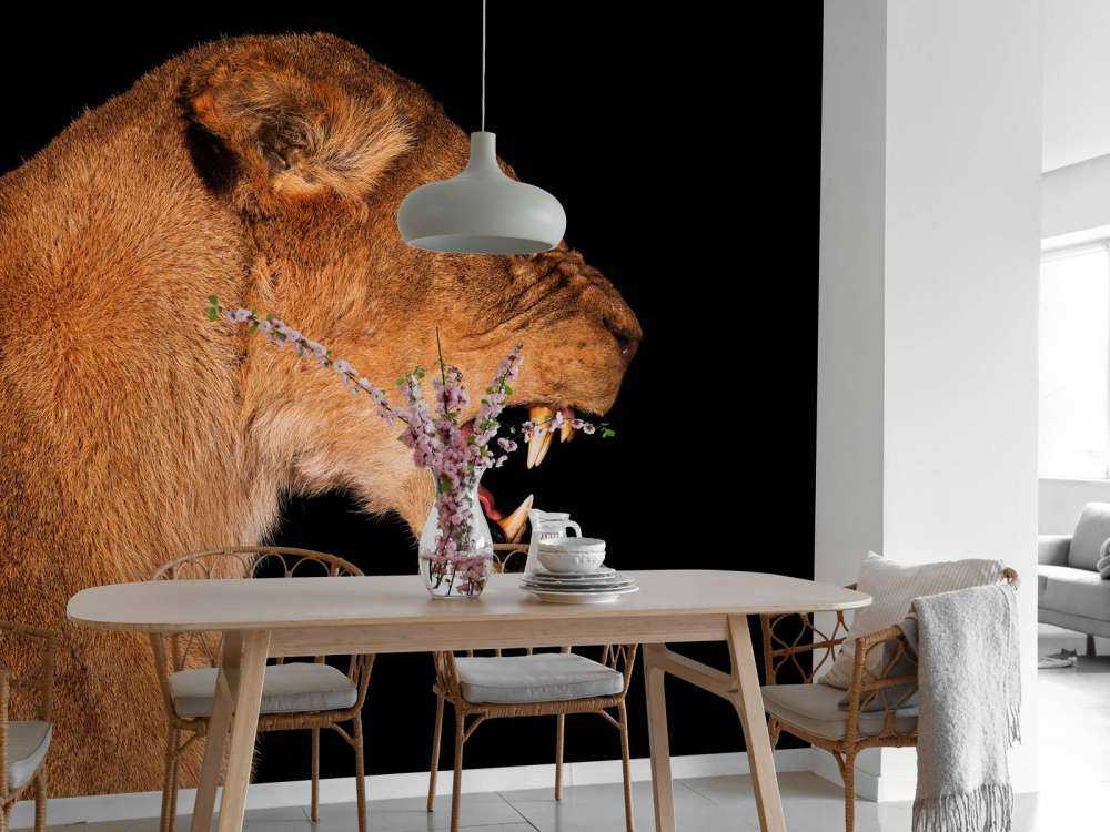 Vista laterale leonessa