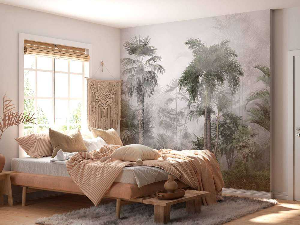 Nebbia Mattutina nei Tropici