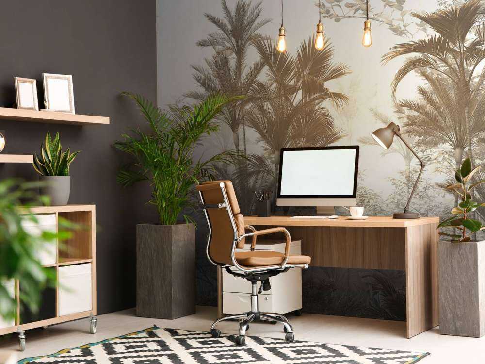 Luce del Sole attraverso le Palme