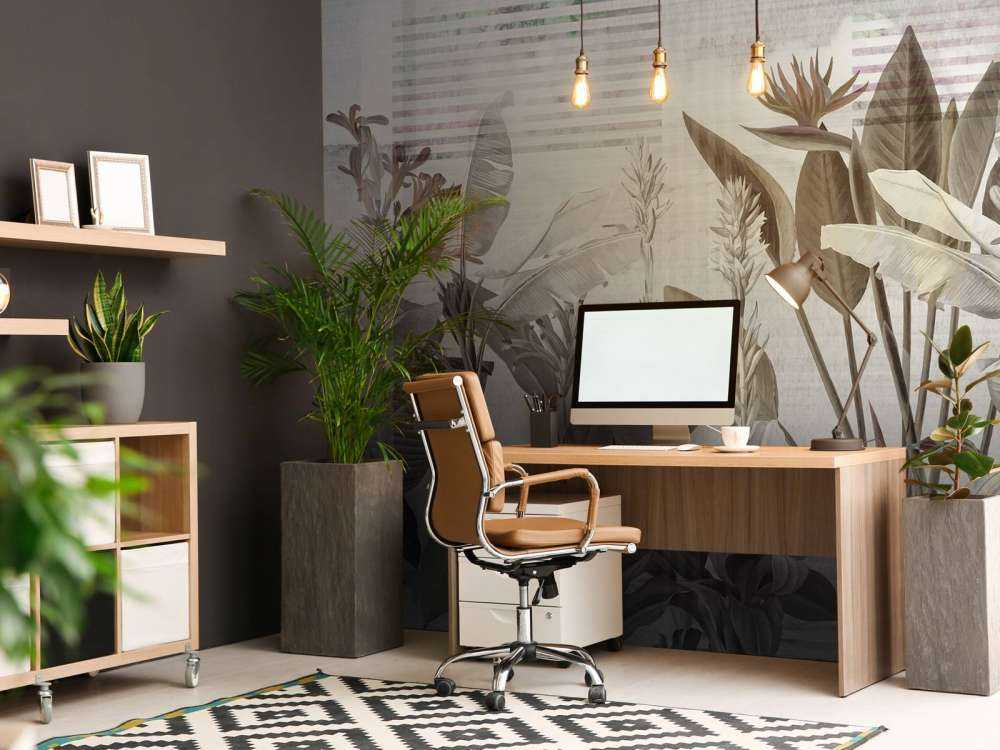 Dreams and Tropics 6