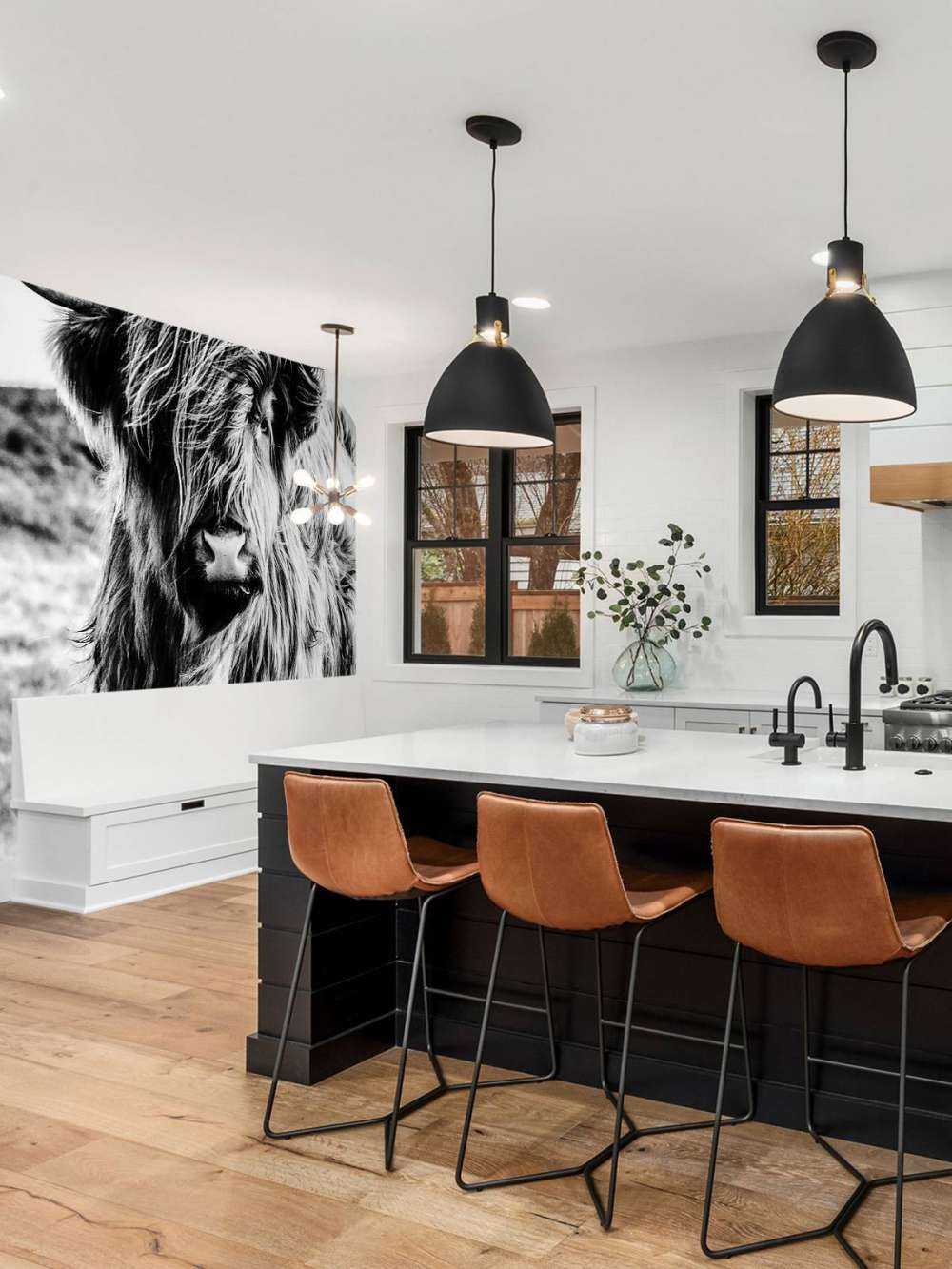 Highlander scozzese in bianco e nero