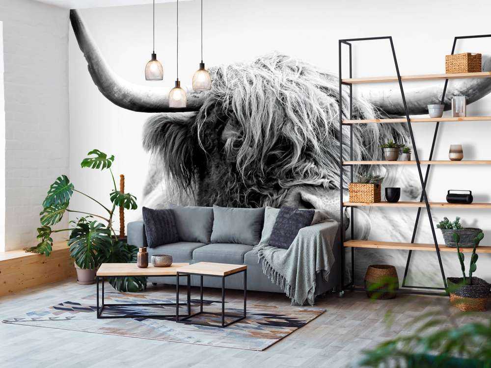 Divertente Highlander scozzese