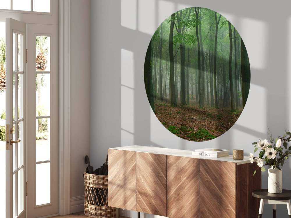 Nebbia nella foresta