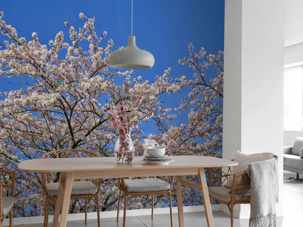 Fiore con il cielo blu