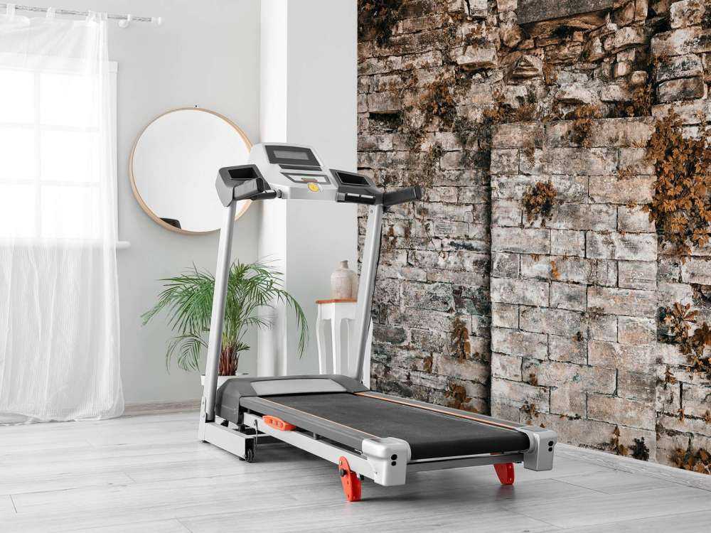 Parete vegetata in autunno