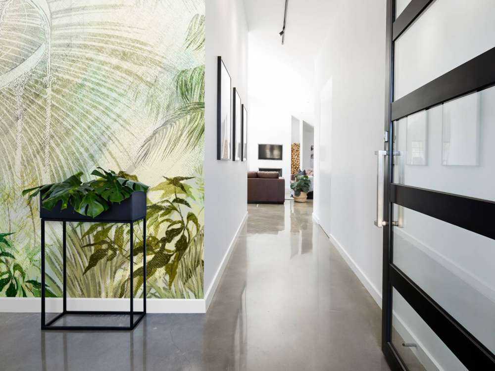 Serra con piante tropicali