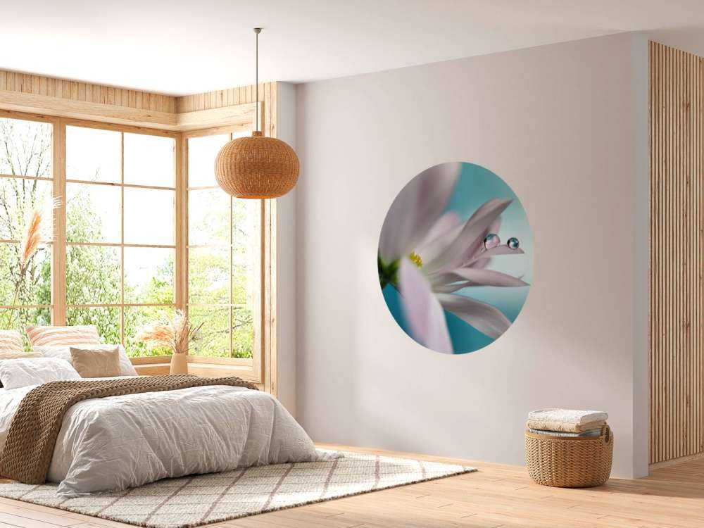 In turquoise Company